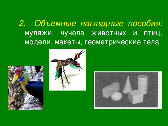 2. Объемные наглядные пособия:  муляжи, чучела животных и птиц, модели, макеты, геометрические тела 
