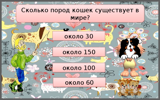 Сколько пород кошек существует в мире? около 30 около 150 около 100 около 60 