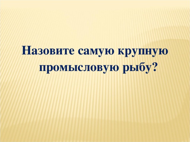 Назовите самую крупную промысловую рыбу?