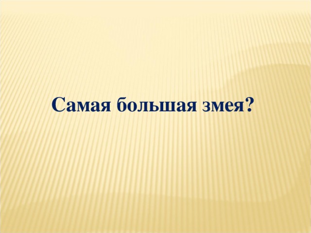 Самая большая змея?