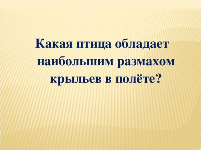 Какая птица обладает наибольшим размахом крыльев в полёте?