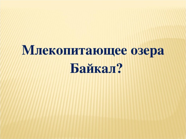 Млекопитающее озера Байкал?