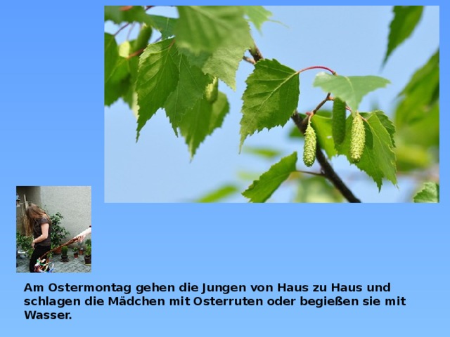 Am Ostermontag gehen die Jungen von Haus zu Haus und schlagen die Mädchen mit Osterruten oder begießen sie mit Wasser.  