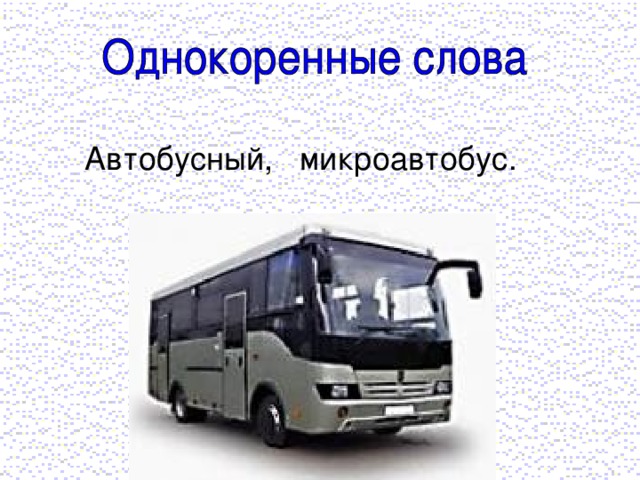 Автобусный, микроавтобус.