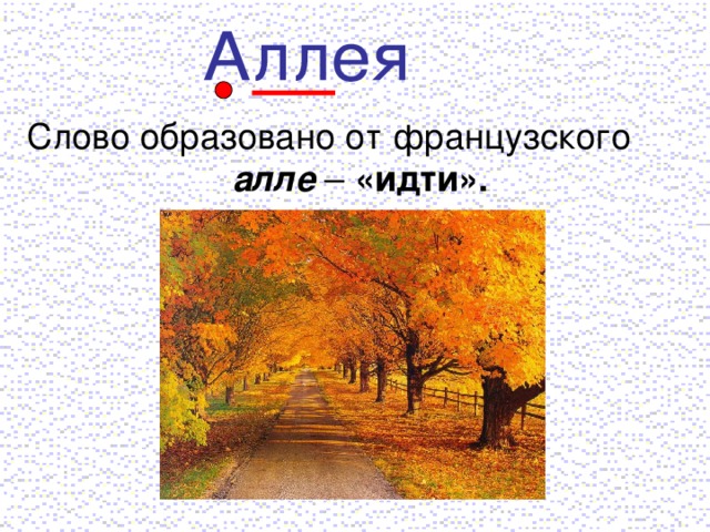 Слово образовано от французского  алле – «идти».