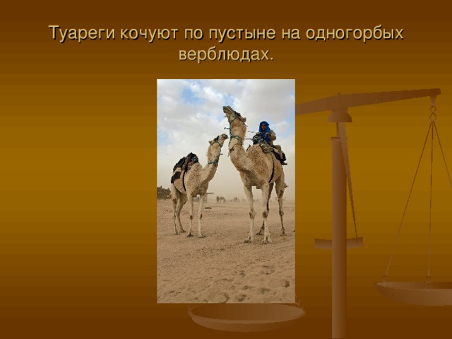 Туареги кочуют по пустыне на одногорбых верблюдах.