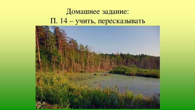 Домашнее задание:  П. 14 – учить, пересказывать 