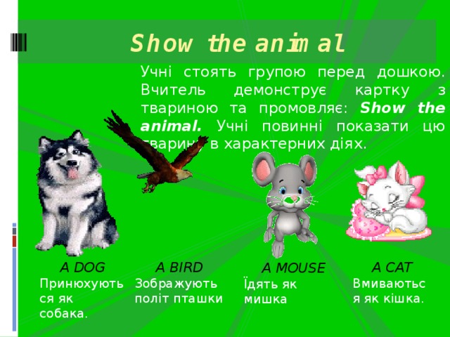 Show the animal Учні стоять групою перед дошкою. Вчитель демонструє картку з твариною та промовляє: Show the animal. Учні повинні показати цю тварину в характерних діях. A DOG A CAT A BIRD Принюхуються як собака. Вмиваються як кішка. Зображують політ пташки A MOUSE Їдять як мишка 