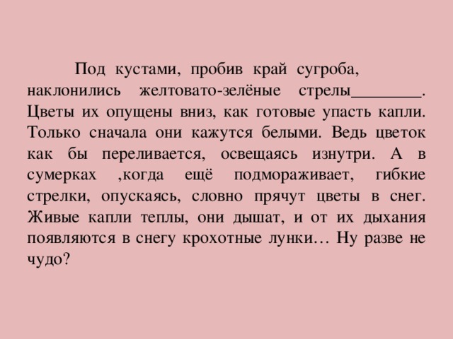  Под кустами, пробив край сугроба, наклонились желтовато-зелёные стрелы________. Цветы их опущены вниз, как готовые упасть капли. Только сначала они кажутся белыми. Ведь цветок как бы переливается, освещаясь изнутри. А в сумерках ,когда ещё подмораживает, гибкие стрелки, опускаясь, словно прячут цветы в снег. Живые капли теплы, они дышат, и от их дыхания появляются в снегу крохотные лунки… Ну разве не чудо? 