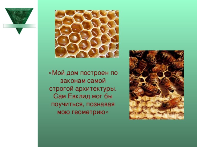 «Мой дом построен по законам самой строгой архитектуры. Сам Евклид мог бы поучиться, познавая мою  геометрию» 