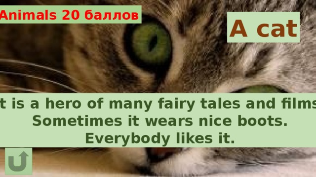 Animals 20 баллов A cat It is a hero of many fairy tales and films. Sometimes it wears nice boots. Everybody likes it. 