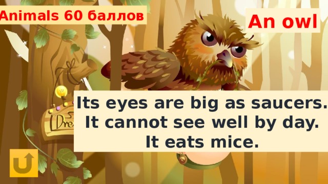 Animals 60 баллов An owl Its eyes are big as saucers. It cannot see well by day. It eats mice. 