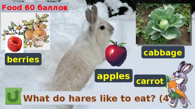 Food 60 баллов cabbage berries apples carrot What do hares like to eat? (4) 