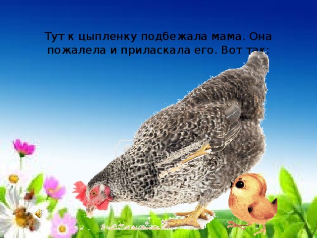  Тут к цыпленку подбежала мама. Она пожалела и приласкала его. Вот так:   