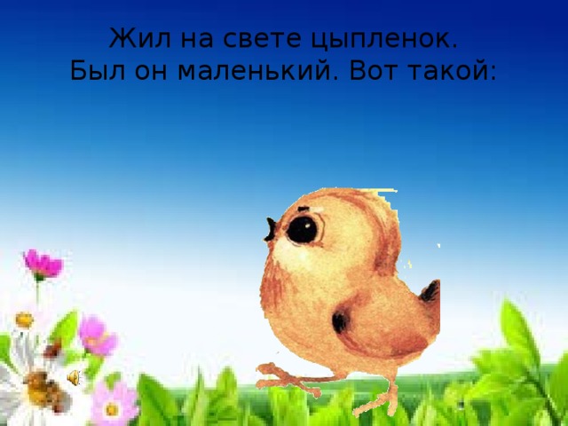 Жил на свете цыпленок.  Был он маленький. Вот такой: 