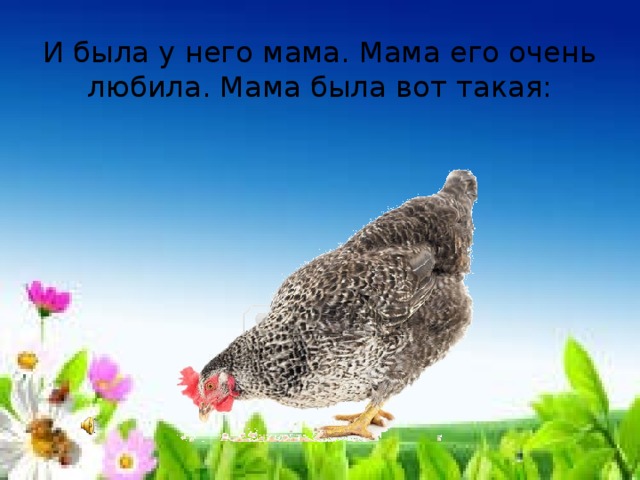 И была у него мама. Мама его очень любила. Мама была вот такая: 