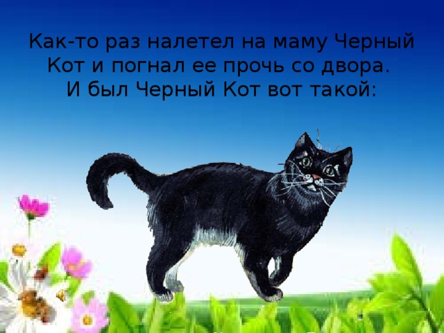 Как-то раз налетел на маму Черный Кот и погнал ее прочь со двора.  И был Черный Кот вот такой: 