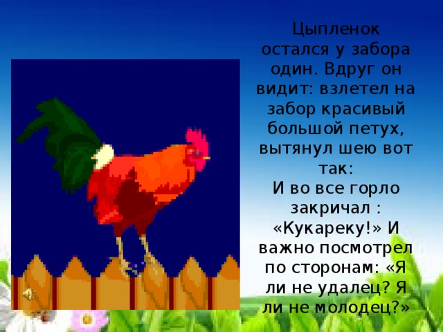 Цыпленок остался у забора один. Вдруг он видит: взлетел на забор красивый большой петух, вытянул шею вот так:  И во все горло закричал : «Кукареку!» И важно посмотрел по сторонам: «Я ли не удалец? Я ли не молодец?» 