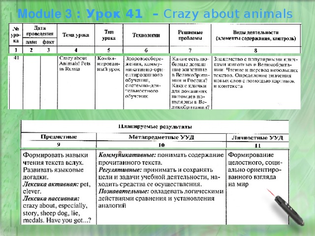 Module 3 : Урок 41 – Crazy about animals 