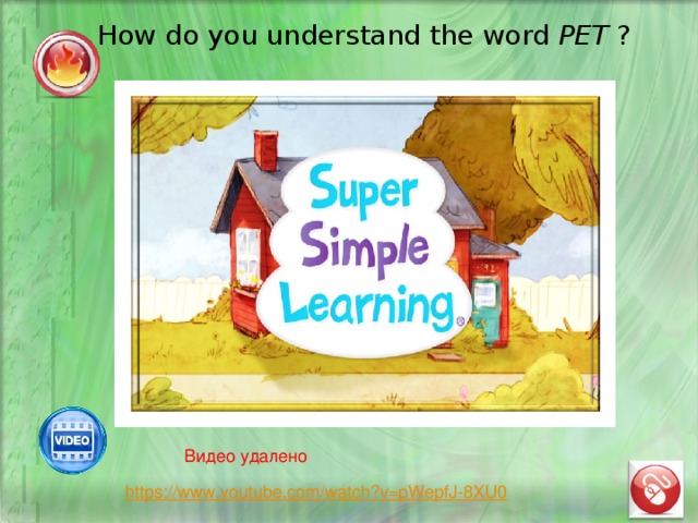 How do you understand the word PET ? Видео удалено 