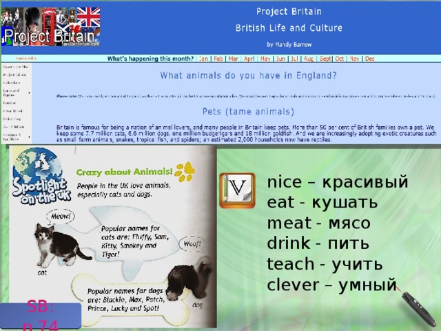 nice – красивый eat - кушать meat - мясо drink - пить teach - учить clever – умный Учитель переводит текст статьи SB: p.74  