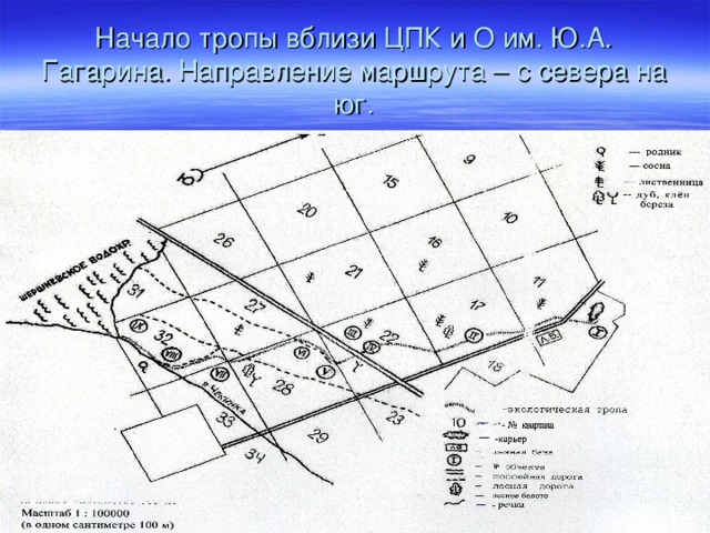 Начало тропы вблизи ЦПК и О им. Ю.А. Гагарина. Направление маршрута – с севера на юг. 