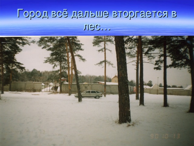 Город всё дальше вторгается в лес… 