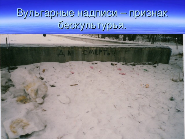 Вульгарные надписи – признак бескультурья. 