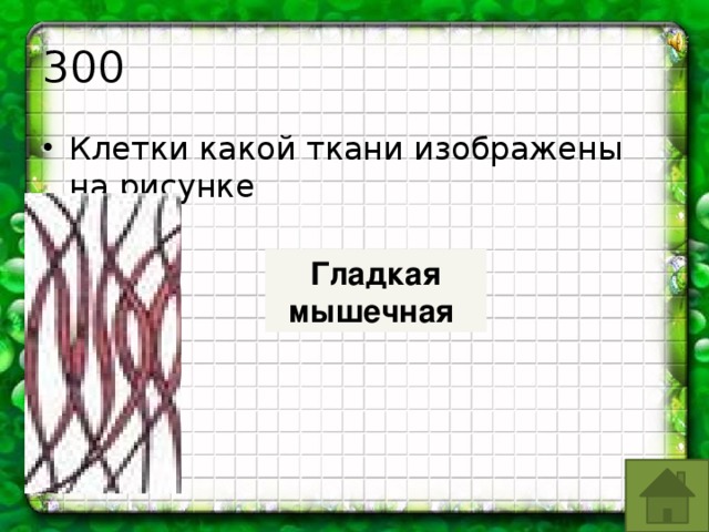 На рисунке изображены ткани