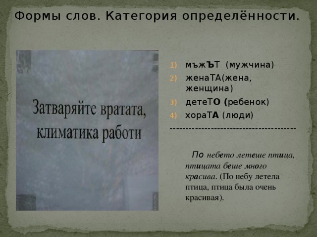 Формы слов. Категория определённости. мъж Ъ Т (мужчина) женаТА(жена, женщина) детеТ О ( ребенок) хораТ А (люди) ----------------------------------------   По неб е то лет е ше пт и ца, пт и цата б е ше мн о го кр а сива . (По небу летела птица, птица была очень красивая). 