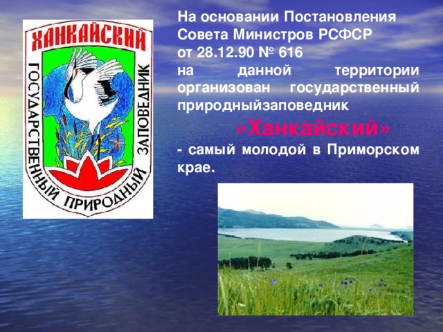 На основании Постановления Совета Министров РСФСР от 28.12.90 № 616 на данной территории организован государственный природныйзаповедник  «Ханкайский» - самый молодой в Приморском крае.  