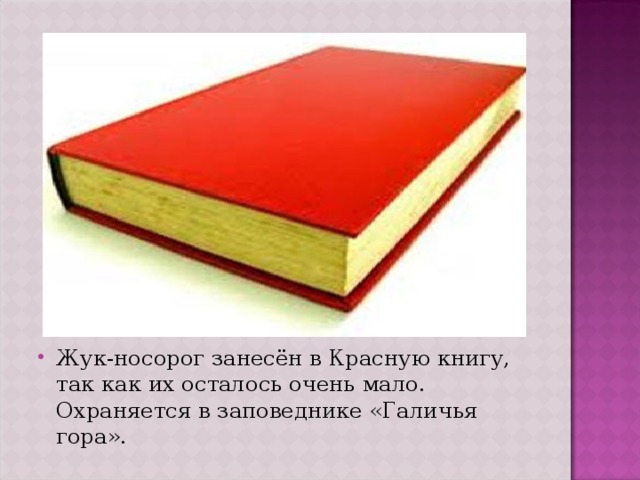 Жук-носорог занесён в Красную книгу, так как их осталось очень мало. Охраняется в заповеднике «Галичья гора». 