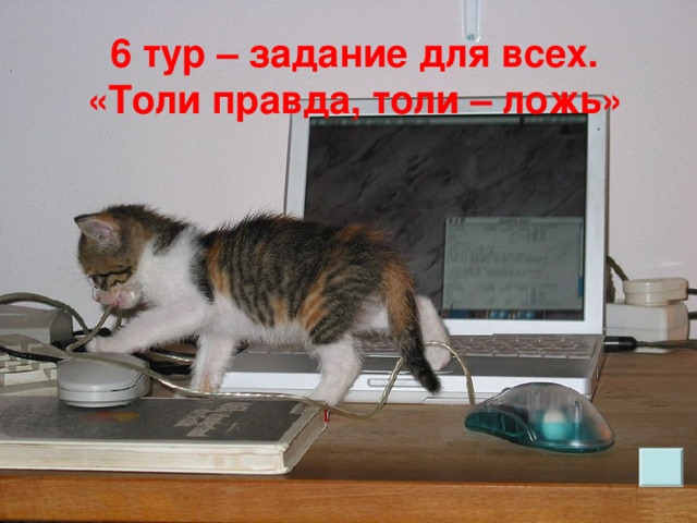 6 тур – задание для всех.  «Толи правда, толи – ложь»