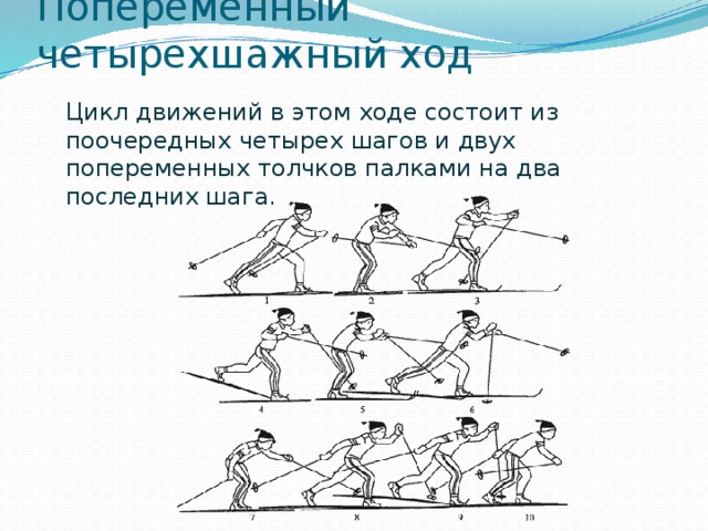 Попеременный двухшажный ход на лыжах картинки