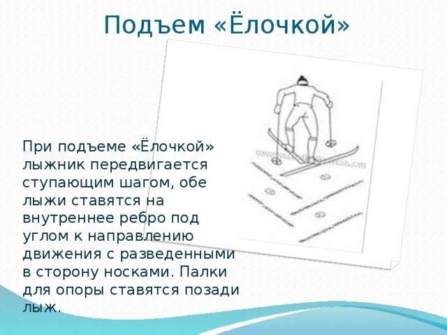 Подъем «Ёлочкой» Вставка рисунка При подъеме «Ёлочкой» лыжник передвигается ступающим шагом, обе лыжи ставятся на внутреннее ребро под углом к направлению движения с разведенными в сторону носками. Палки для опоры ставятся позади лыж. 