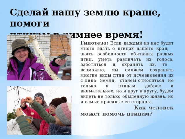 Сделай нашу землю краше, помоги  птицам в зимнее время!     Гипотеза: Если каждый из нас будет много знать о птицах нашего края, знать особенности обитания разных птиц, уметь различать их голоса, заботиться и охранять их, то возможно, мы сможем сохранить многие виды птиц от исчезновения их с лица Земли, станем относиться не только к птицам добрее и внимательнее, но и друг к другу, будем видеть не только обыденную жизнь, но и самые красивые ее стороны. Как человек может помочь птицам? 