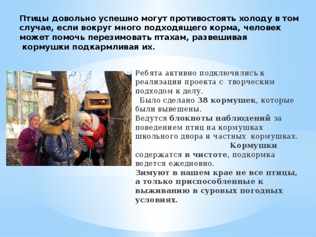 Птицы довольно успешно могут противостоять холоду в том случае, если вокруг много подходящего корма, человек может помочь перезимовать  птахам, развешивая  кормушки подкармливая их. Ребята активно подключились к реализации проекта с творческим подходом к делу. Было сделано 38 кормушек , которые были вывешены. Ведутся блокноты наблюдений за поведением птиц на кормушках школьного двора и частных кормушках. Кормушки содержатся в чистоте , подкормка ведется ежедневно. Зимуют в нашем крае не все птицы, а только приспособленные к выживанию в суровых погодных условиях. 