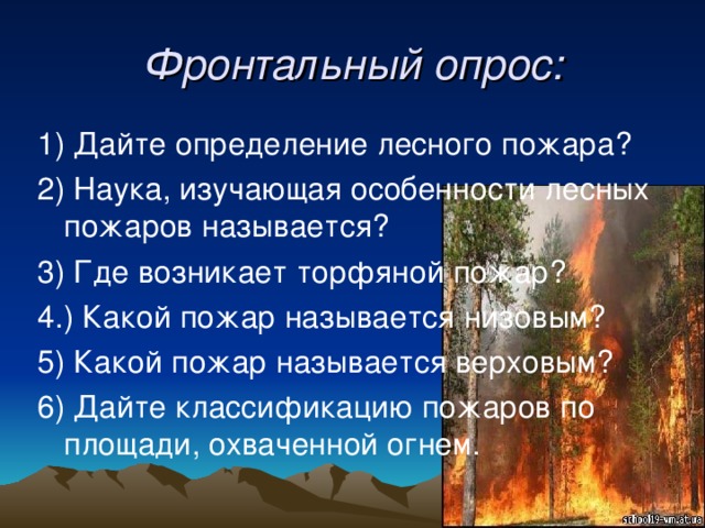 Фронтальный опрос: 