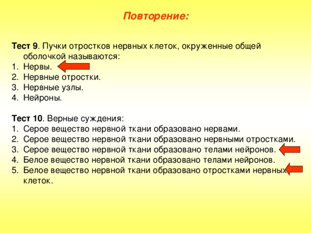 Повторение: Тест 9 . Пучки отростков нервных клеток, окруженные общей оболочкой называются: Нервы. Нервные отростки. Нервные узлы. Нейроны.  Тест 10 . Верные суждения:
