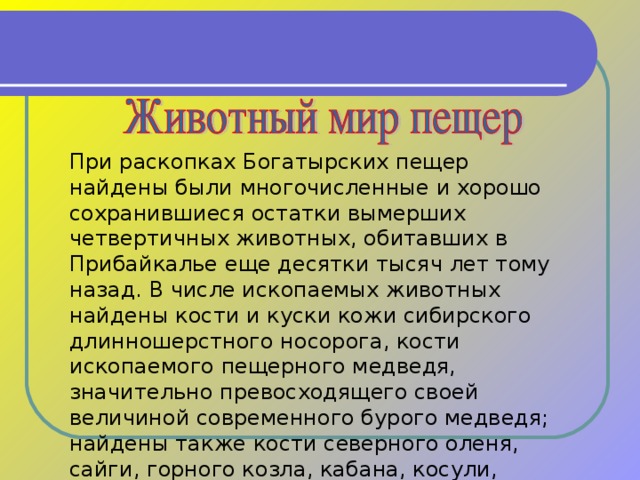 При раскопках Богатырских пещер найдены были многочисленные и хорошо сохранившиеся остатки вымерших четвертичных животных, обитавших в Прибайкалье еще десятки тысяч лет тому назад. В числе ископаемых животных найдены кости и куски кожи сибирского длинношерстного носорога, кости ископаемого пещерного медведя, значительно превосходящего своей величиной современного бурого медведя; найдены также кости северного оленя, сайги, горного козла, кабана, косули, песца, медведя и др. животных