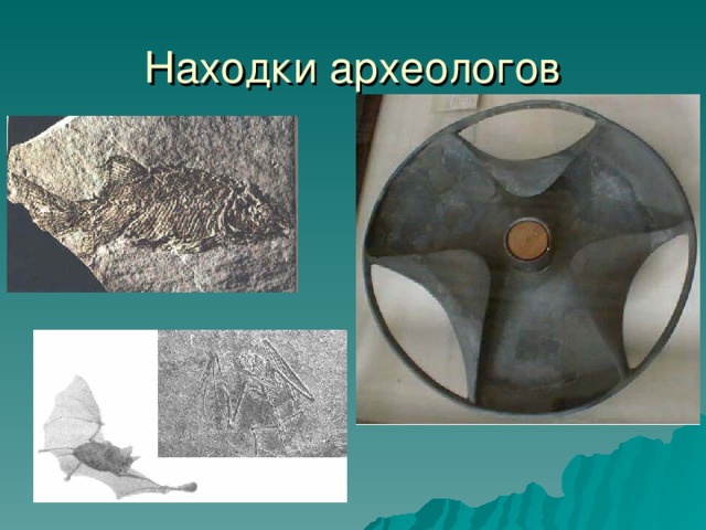 Находки археологов