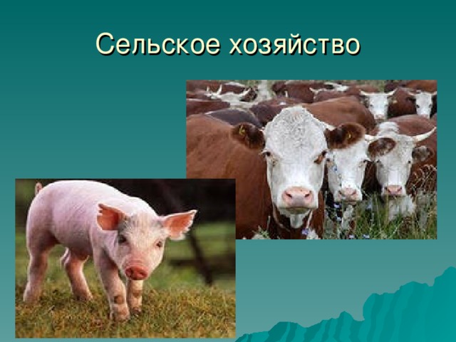 Сельское хозяйство