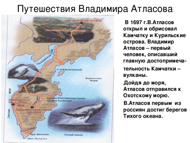 Путешествия Владимира Атласова  В 1697 г.В.Атласов открыл и обрисовал Камчатку и Курильские острова. Владимир Атласов – первый человек, описавший главную достопримеча-  тельность Камчатки – вулканы.  Дойдя до моря, Атласов отправился к Охотскому морю.  В.Атласов первым из россиян достиг берегов Тихого океана. 