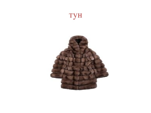 тун 