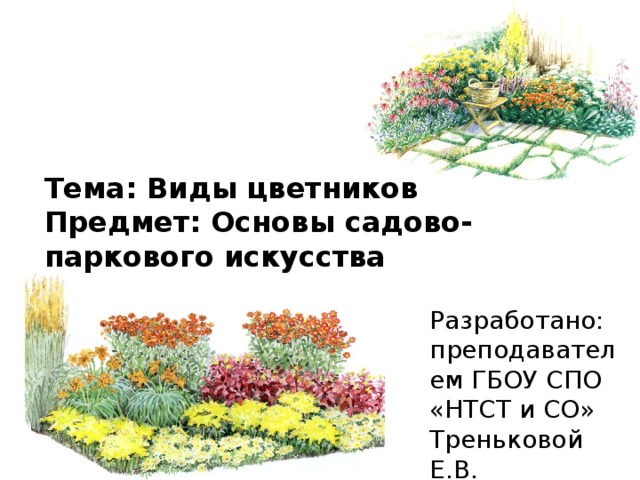 Тема: Виды цветников Предмет: Основы садово-паркового искусства  Разработано: преподавателем ГБОУ СПО «НТСТ и СО» Треньковой Е.В. 