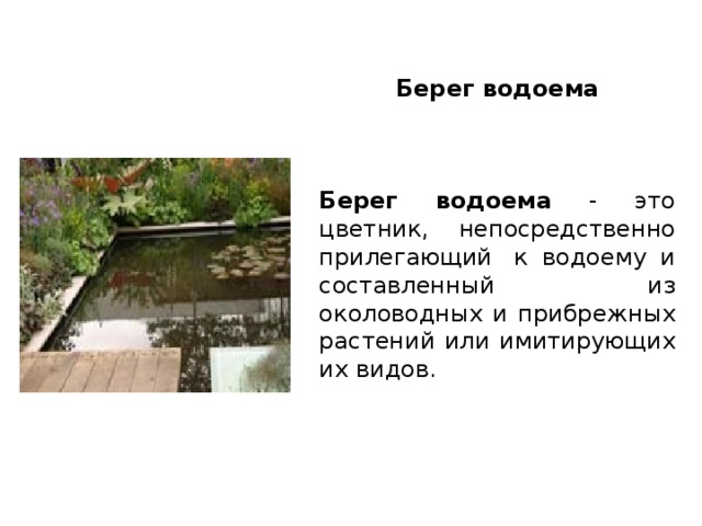 Берег водоема   Берег водоема - это цветник, непосредственно прилегающий  к водоему и составленный из околоводных и прибрежных растений или имитирующих их видов. 