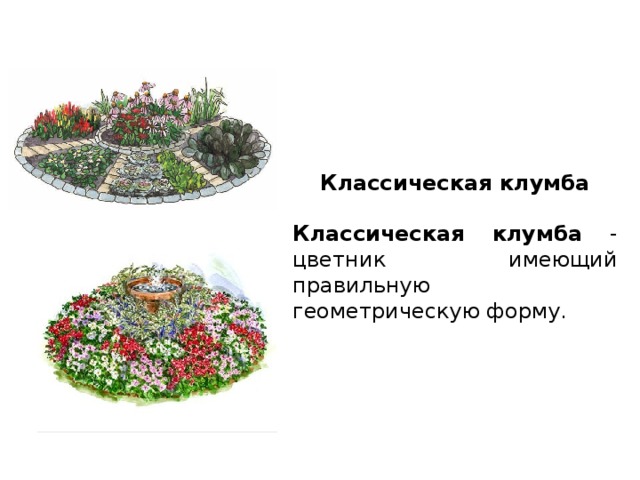 Классическая клумба  Классическая клумба - цветник имеющий правильную геометрическую форму. 