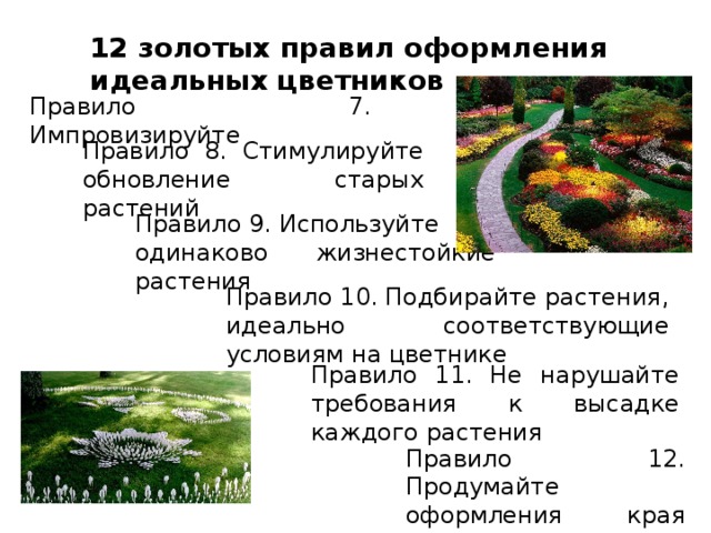 Виды цветников презентация