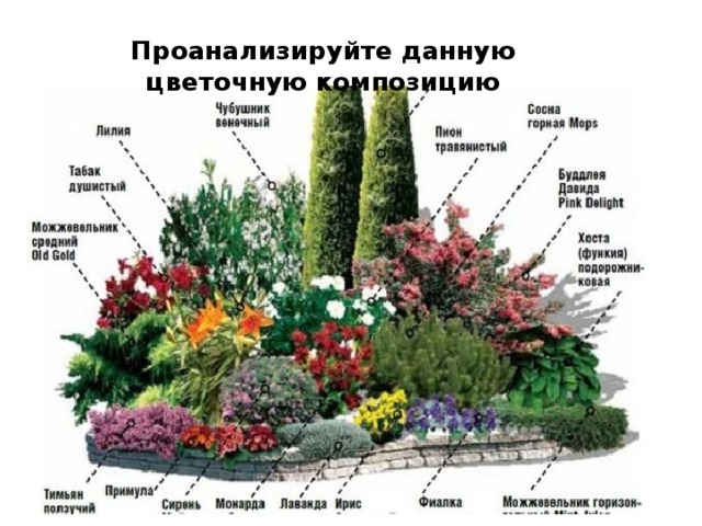 Проанализируйте данную цветочную композицию 