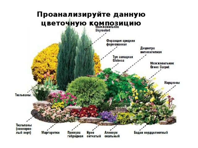 Проанализируйте данную цветочную композицию 